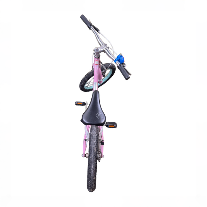 Shop Raleigh Lily 16" Kid's Bike, Pink at GoodBuy Gear