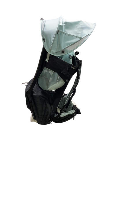 Shop Thule Sapling Child Carrier, Black at GoodBuy Gear