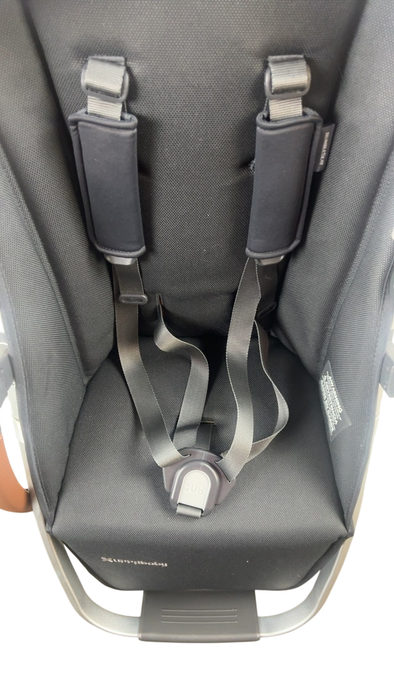 Shop UPPAbaby VISTA RumbleSeat V2, 2015+, Alice (Dusty Pink) at GoodBuy Gear