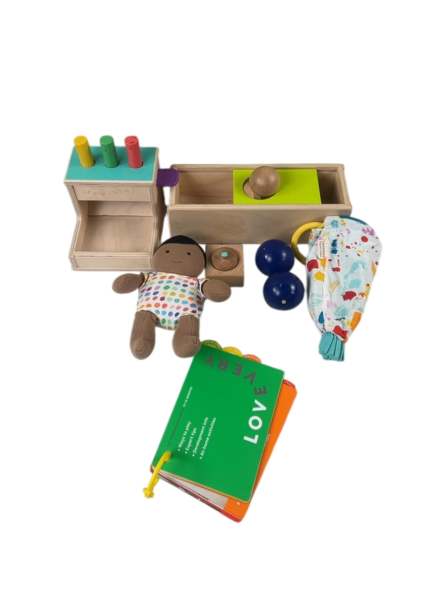 Lovevery The Thinker Play Kit