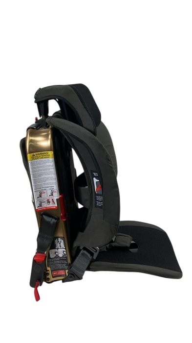 Shop WAYB Pico Portable Car Seat, 2023, Earth at GoodBuy Gear