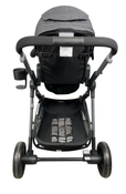 Shop Evenflo Pivot Xpand Modular Stroller, 2023, Sabino Gray at GoodBuy Gear