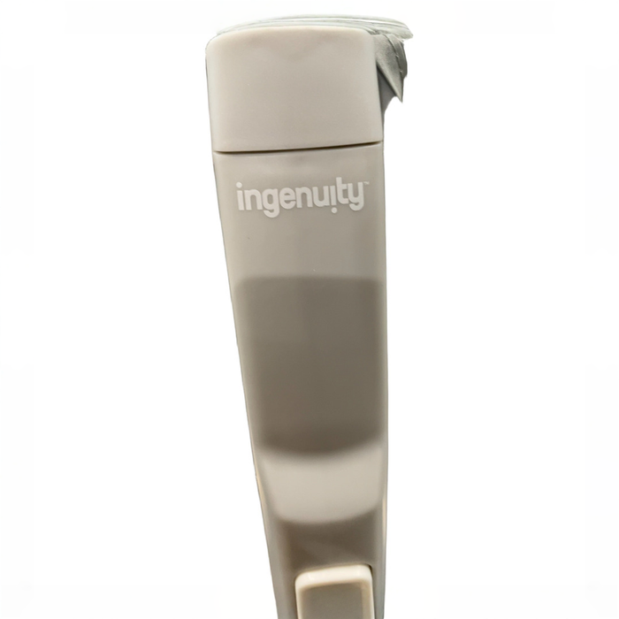Shop Ingenuity Rocking Seat, Cuddle Lamb at GoodBuy Gear