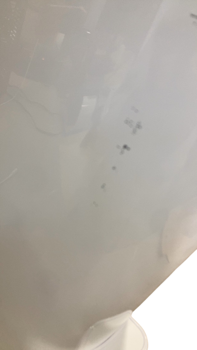 Shop Diaper Genie Platinum Pail Gift Set, Lily White at GoodBuy Gear