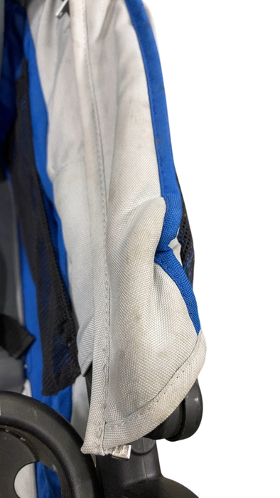 Shop Gladly Family Anthem4 Classic 4 Seater All Terrain Wagon Stroller, Electric Silver at GoodBuy Gear