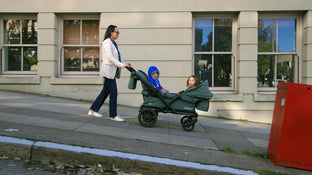Shop Ellavate Electric Wagon, Sage at GoodBuy Gear