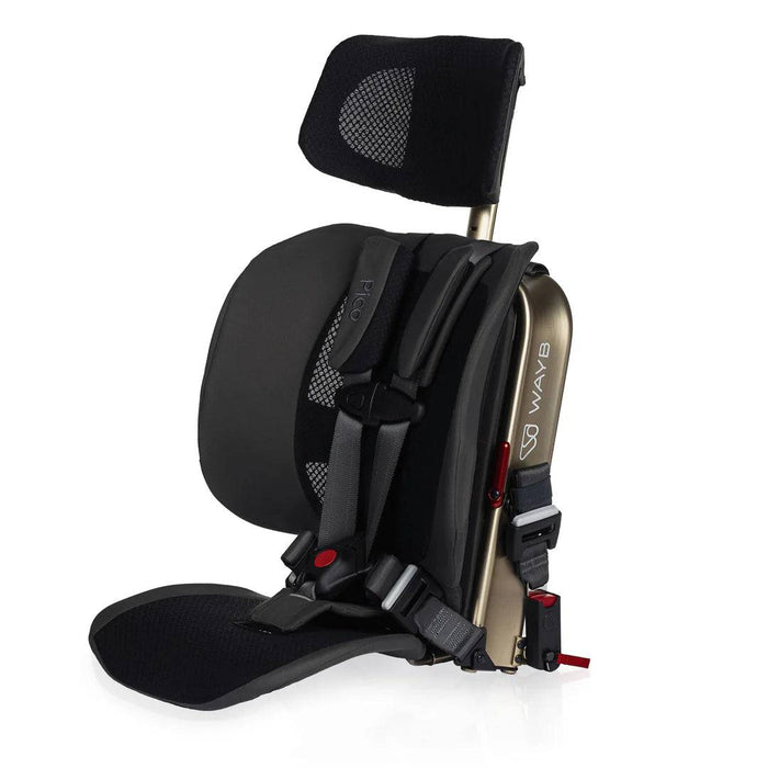 WAYB Pico Portable Car Seat, Earth, 2025