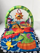 used Plagrow Activity Play Gym