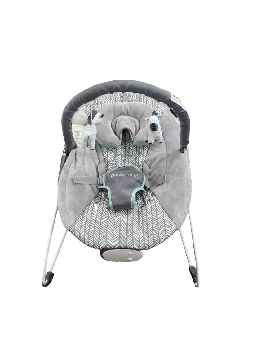 Baby trend ez bouncer hot sale ziggy