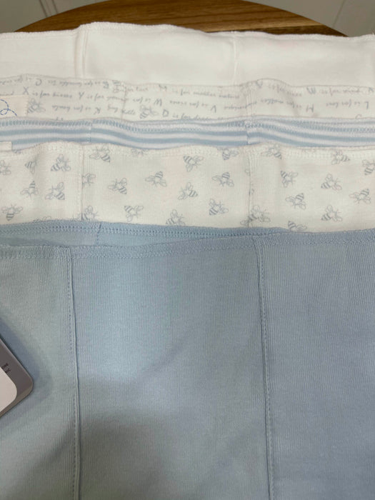 secondhand Burt's Bees Baby Burp Cloths, 5-Pack, Blue and White