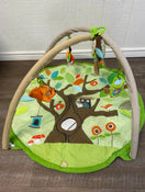 used Skip Hop Activity Gym/ Playmat, Treetop Friends