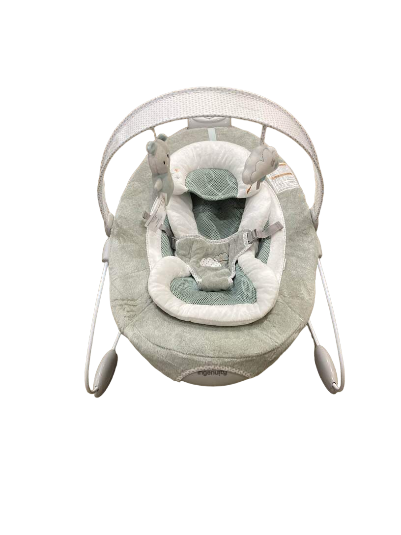 Ingenuity sales townsend bouncer