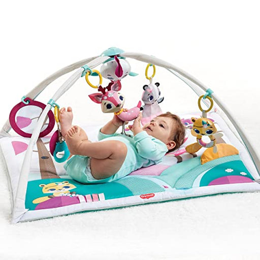 used Tiny Love Gymini Deluxe Activity Gym, Tiny Princess Tales