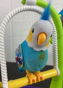 secondhand Little Live Pets Cleverkeet