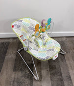 used Fisher Price Baby Bouncer