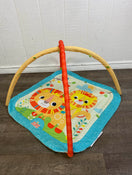 used Bright Starts Activity Gym, Little Lions