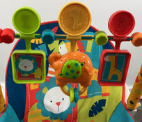 used Fisher Price Infant To Toddler Rocker