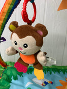 Fisher Price Rainforest Melodies and Lights Deluxe Gym