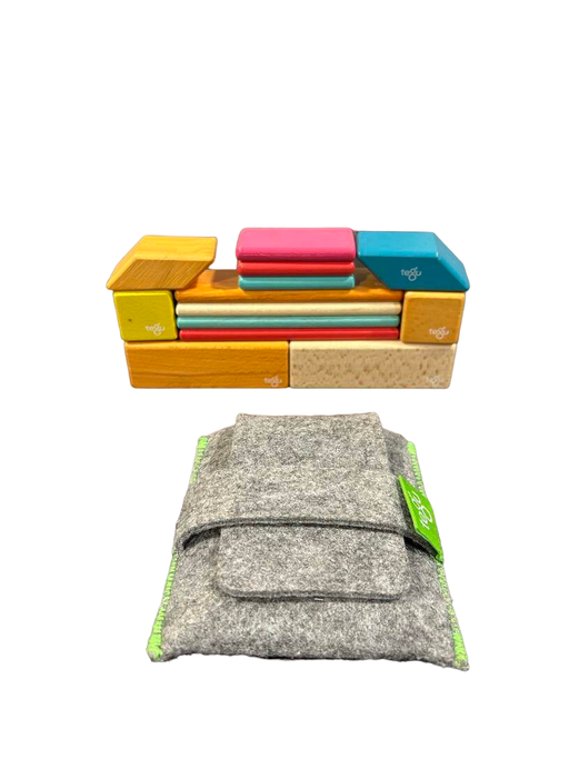 used Tegu Magnetic Wood Blocks