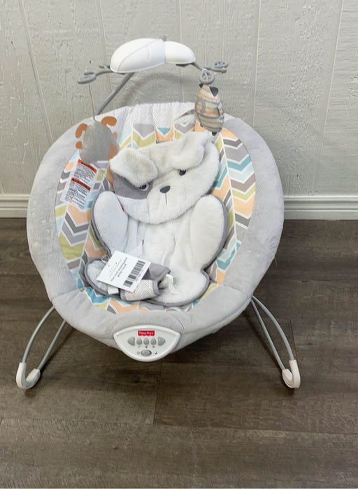 used Fisher Price Deluxe Bouncer