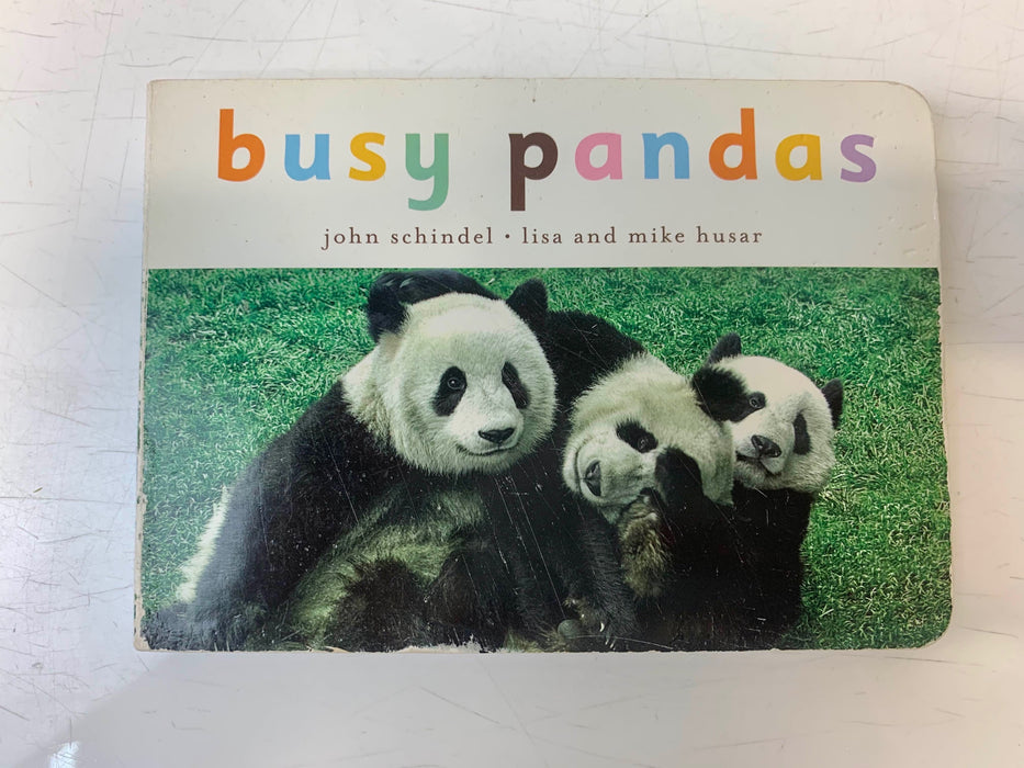 Shop BUNDLE Board Books at GoodBuy Gear