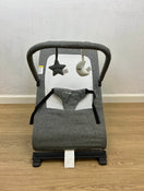 used Baby Delight Go With Me Alpine Deluxe Portable Bouncer