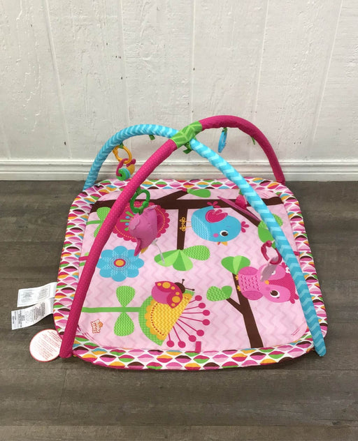 secondhand Bright Starts Activity Gym, Charming Chirps