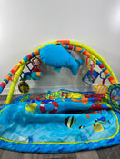 used Baby Einstein Play Gym