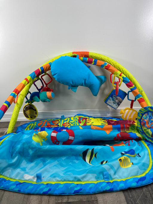 used Baby Einstein Play Gym