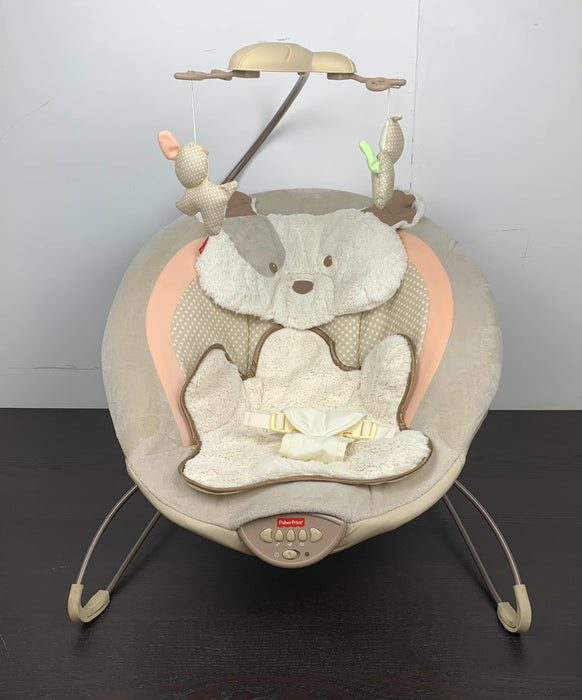 used Fisher Price Deluxe Bouncer