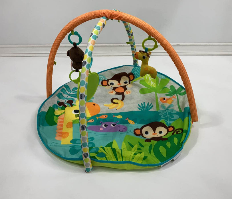 used Bright Starts Activity Gym, zig zag safari