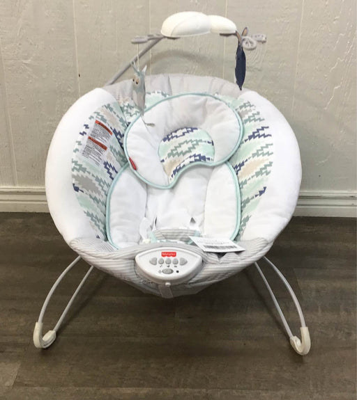 used Fisher Price Deluxe Bouncer