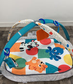 secondhand Baby Einstein Play Gym