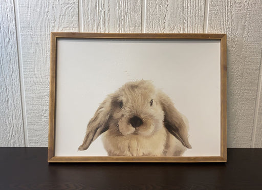 used Wall Decor, Bunny