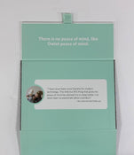 used Owlet Dream Sock