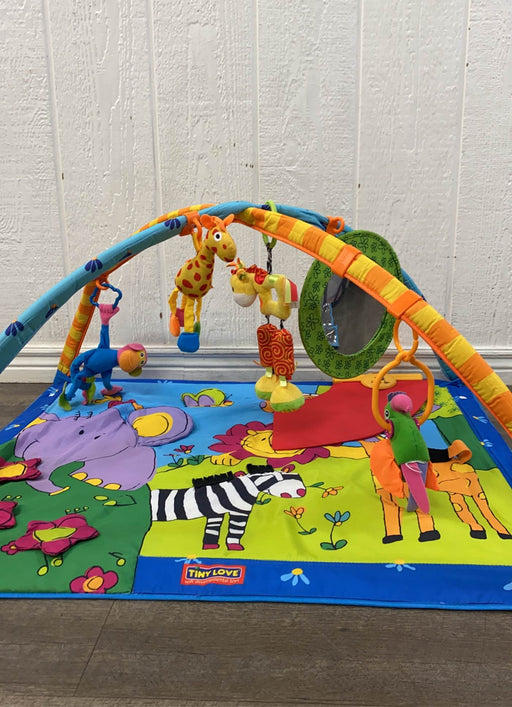 secondhand Tiny Love Gymini Super Deluxe Activity Playmat