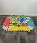 used Baby Einstein 5-in-1 Activity Gym, Patches