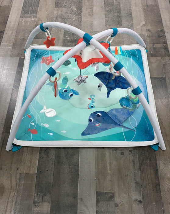 used Gyms Playmats