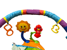 used Baby Einstein Activity Jumper, Neighborhood Friends