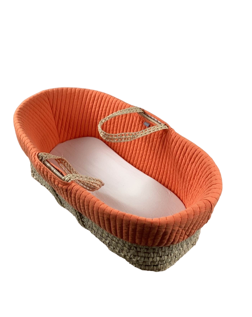 used Tadpoles Moses Basket