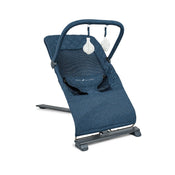 used Baby Delight Go With Me Alpine Deluxe Portable Bouncer, Driftwood Grey 