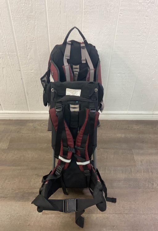 secondhand REI Tagalong Child Carrier