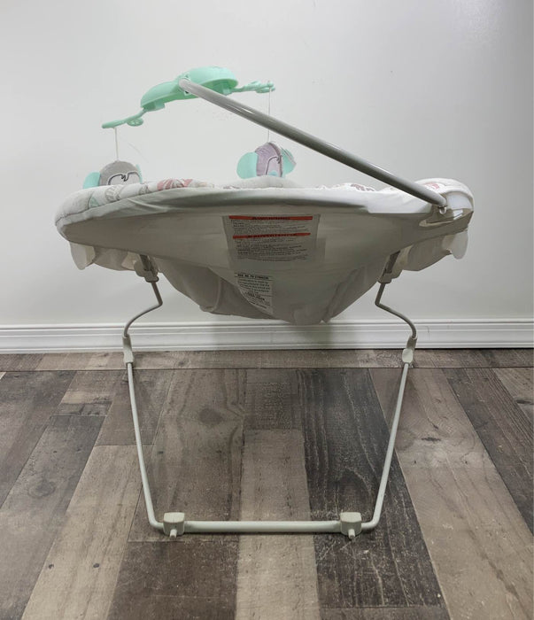 used Fisher Price Deluxe Bouncer