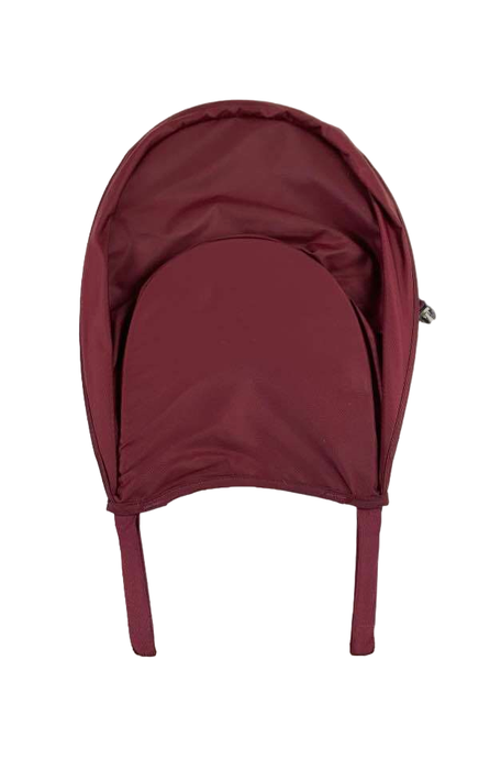 Deuter Kid Comfort I Hiking Backpack, Maroon