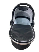 secondhand Mockingbird Bassinet, 2021, Black