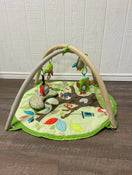 secondhand Skip Hop Treetop Friends Activity Gym