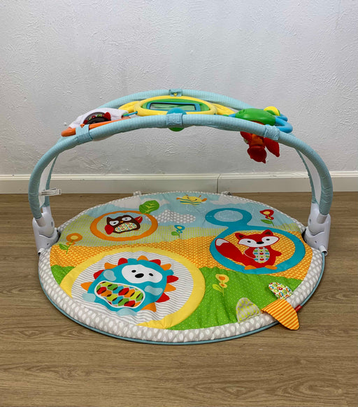 secondhand Skip Hop Explore And More Amazing Arch Activity Gym