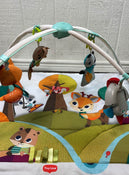 secondhand Tiny Love Gymini Super Deluxe Activity Playmat, Into the Forest