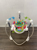 used Fisher Price Discover ‘n Grow Jumperoo