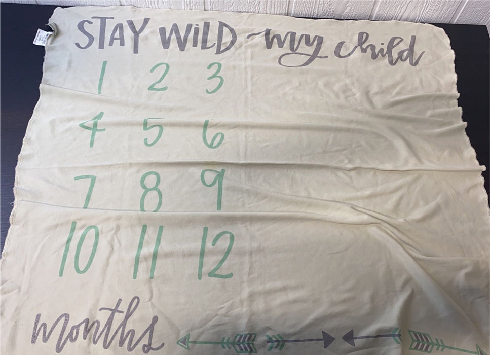 used Milestone Blanket